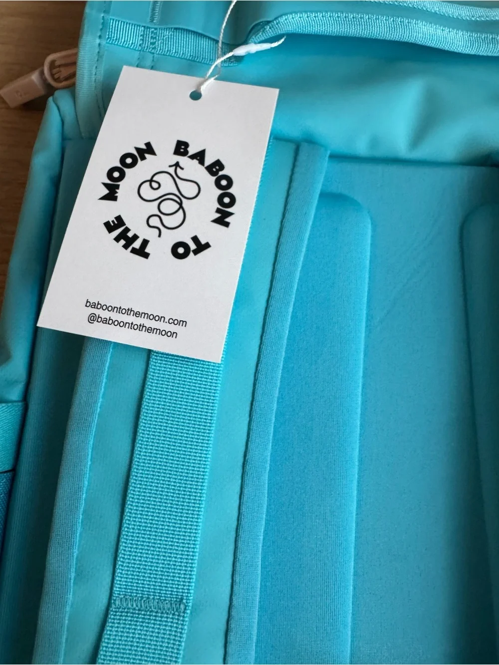 BABOON TO THE MOON  Aqua Blue bag pack